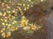 PB040996-