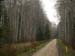 PB041013-