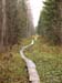 PB041040-