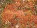 PB041096-