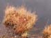 PB041101-