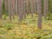PB051144-