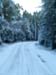 PB273231-