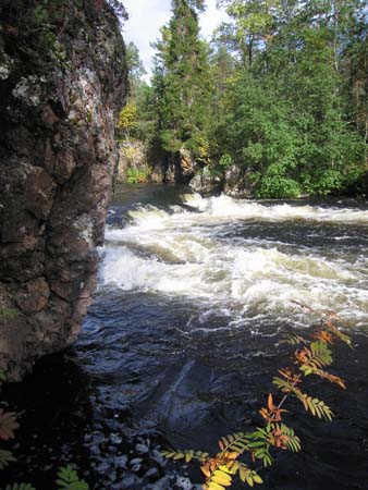 IMG_0020