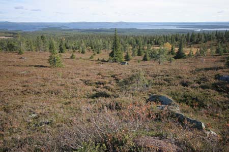 IMG_0700