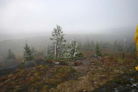 IMG_0911