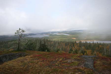 IMG_0914