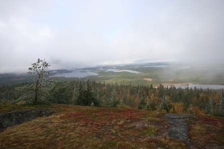 IMG_0915
