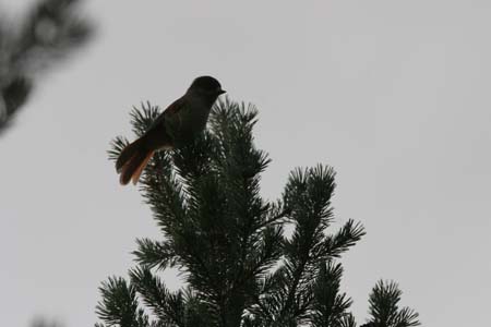 IMG_9361