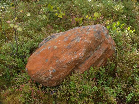 P9177525