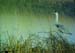 P4035181-