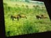 P4035183-