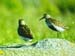 P4035184-
