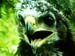 P4035208-