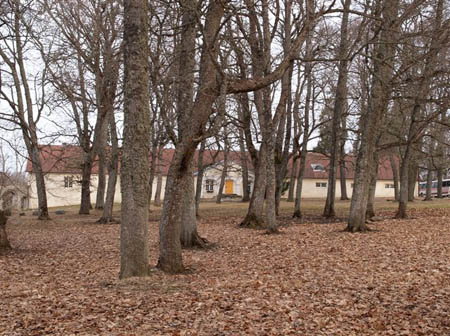 P4085823-