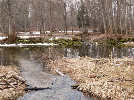 P4085832-