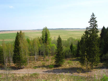 IMG_1469