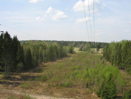 IMG_1475