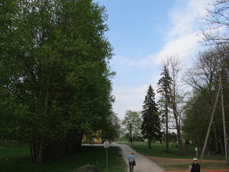 IMG_1563
