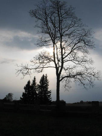 IMG_1616