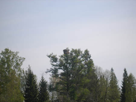 P5130042