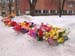 P2198283-
