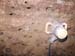 P2117544-