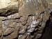P2117577-