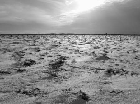 IMG_0719