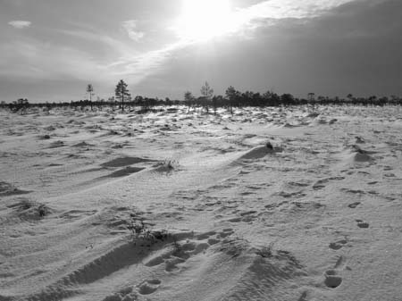 IMG_0720