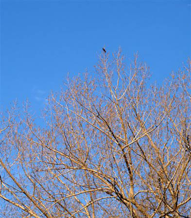 P5097969-