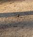P5097955-