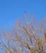 P5097969-