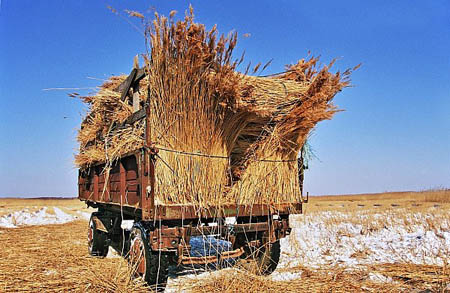 matsalu-2006-01