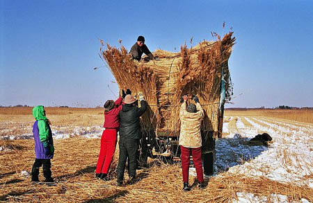 matsalu-2006-02