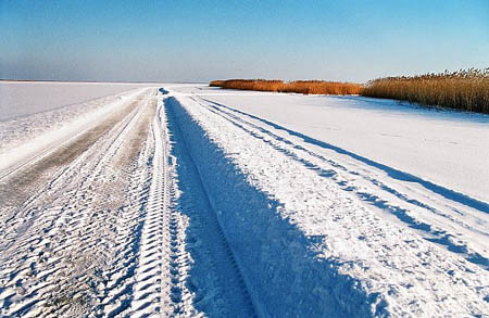 matsalu-2006-04