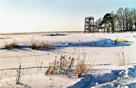 matsalu-2006-07
