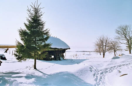matsalu-06