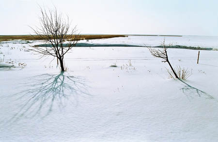 matsalu-07