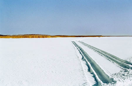 matsalu-13