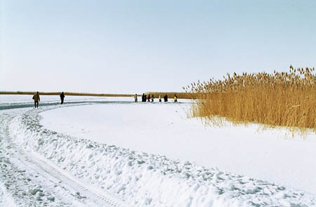 matsalu-14