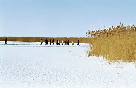 matsalu-15
