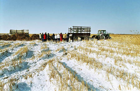 matsalu-16