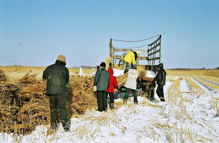 matsalu-18