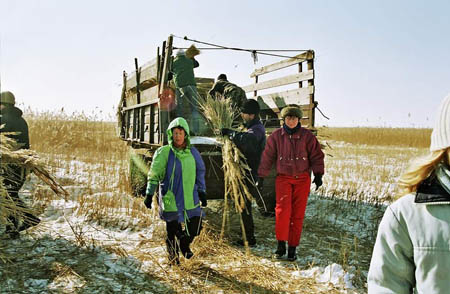 matsalu-22