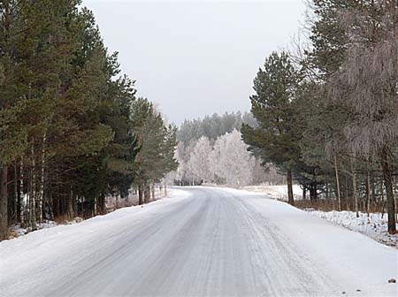 P1075742-