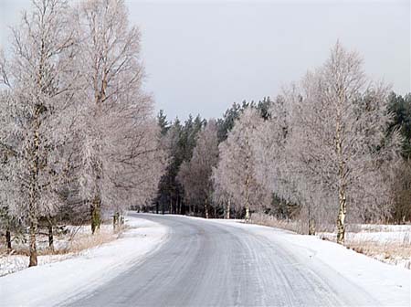 P1075743-