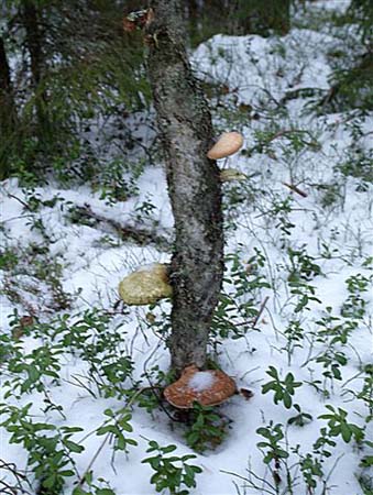 P1085879-
