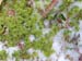 P1075779-