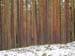 P1075785-